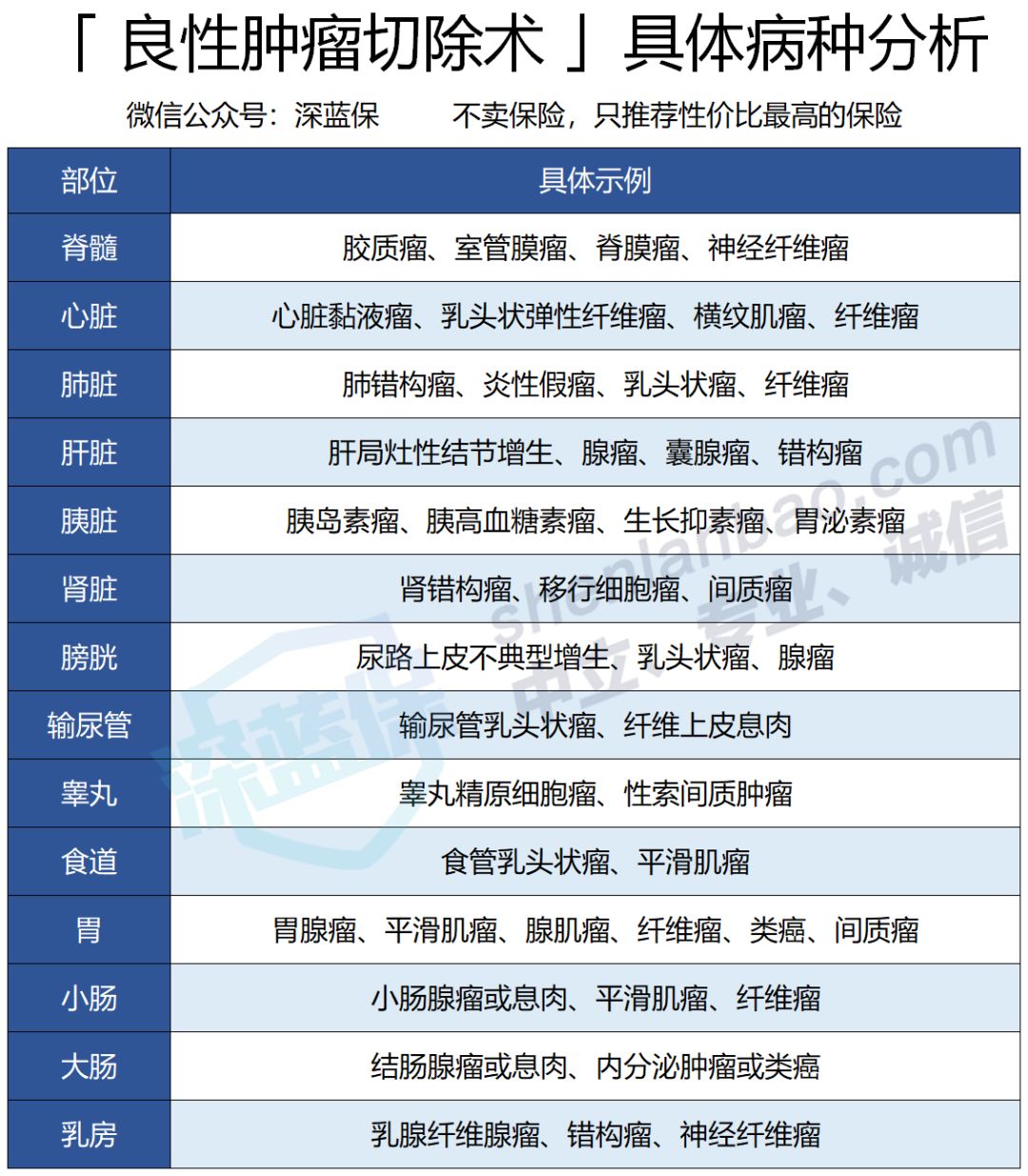 超级玛丽2020保障好不好？性价比如何？-第7张图片-牧野网