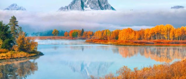 超级玛丽2020有哪些特色？-第1张图片-牧野网