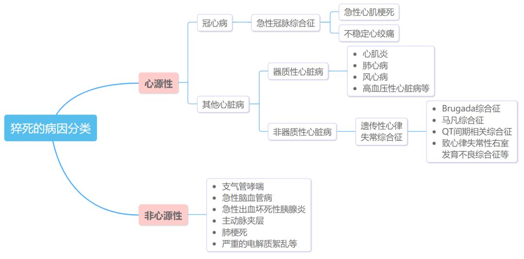 猝死属于意外吗？ 猝死，哪些保险产品能够赔付呢？-第1张图片-牧野网