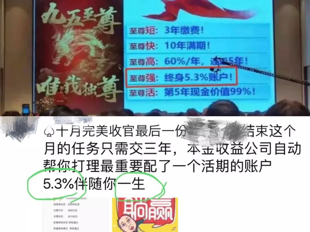 全球利率下行，买年金险究竟看什么？-第10张图片-牧野网
