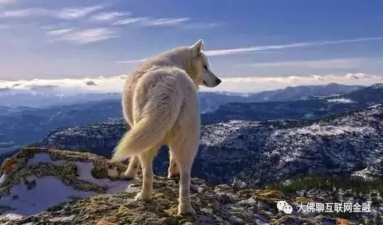 政信债和城投债有什么区别？政信债券的风险如何？-第1张图片-牧野网