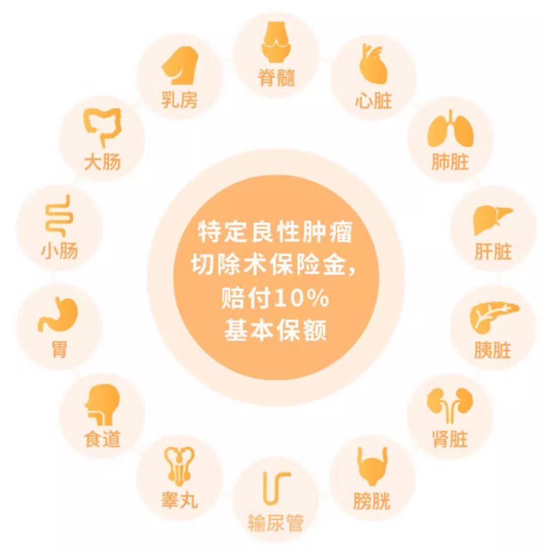 超级玛丽2020重疾险怎么样，适合什么人？-第1张图片-牧野网