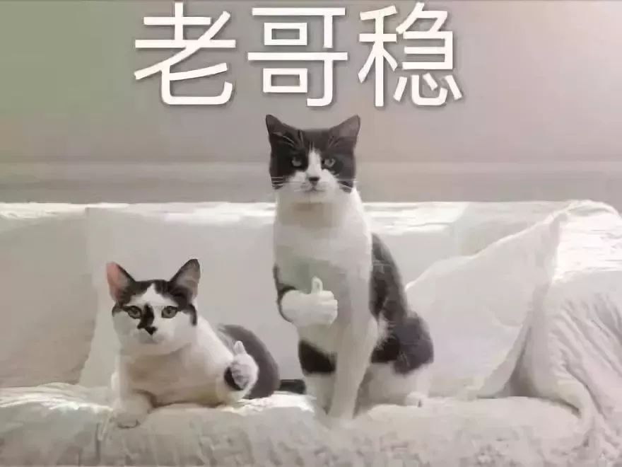 双11有哪些省钱攻略？-第2张图片-牧野网