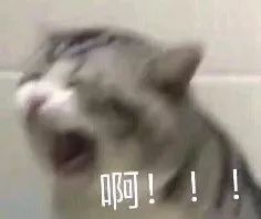 龙腾出新