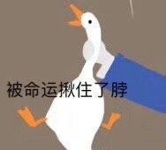 达尔文2号重疾险有哪些亮点？保障有哪些？-第10张图片-牧野网