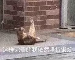 达尔文2号重疾险有哪些亮点？保障有哪些？-第12张图片-牧野网