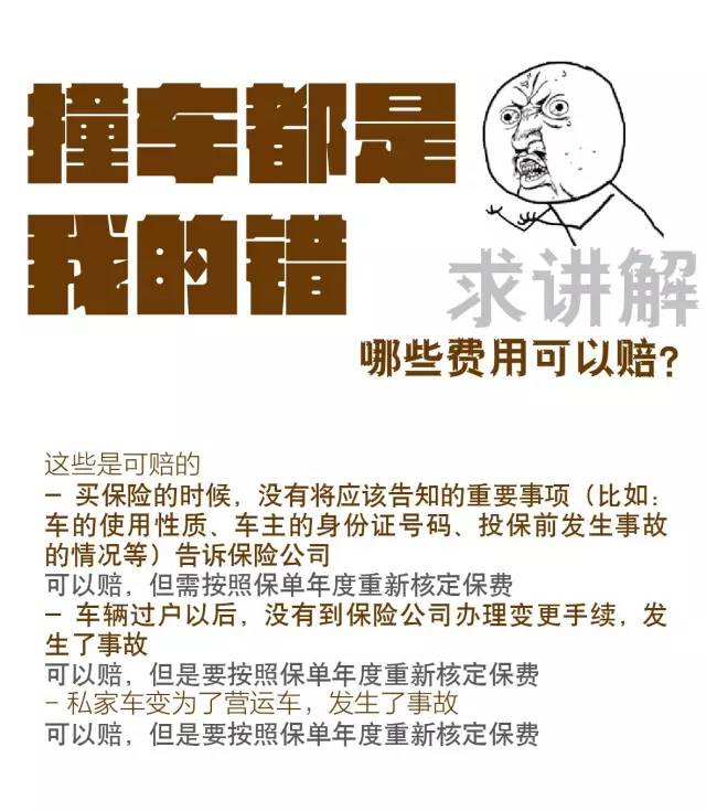 交强险到底有何用？-第2张图片-牧野网