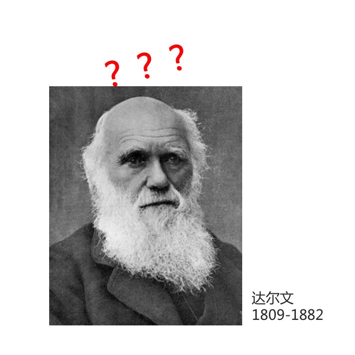 达尔文2号重疾险保障有哪些？有哪些优缺点？-第1张图片-牧野网