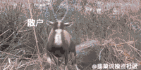 怎么看待浮动管理费基金？-第2张图片-牧野网