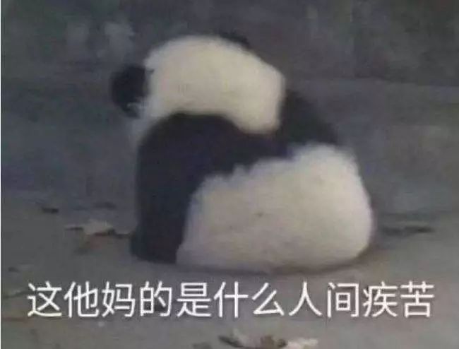 社保断缴有啥危害？辞职后该如何处理社保？-第2张图片-牧野网