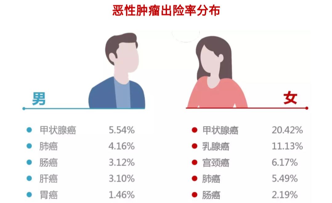 防癌医疗险是什么？神农防癌医疗险怎么样？-第3张图片-牧野网