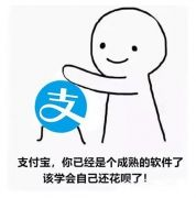 花呗vs京东白条、借呗vs微粒贷，哪个更划算？-第2张图片-牧野网