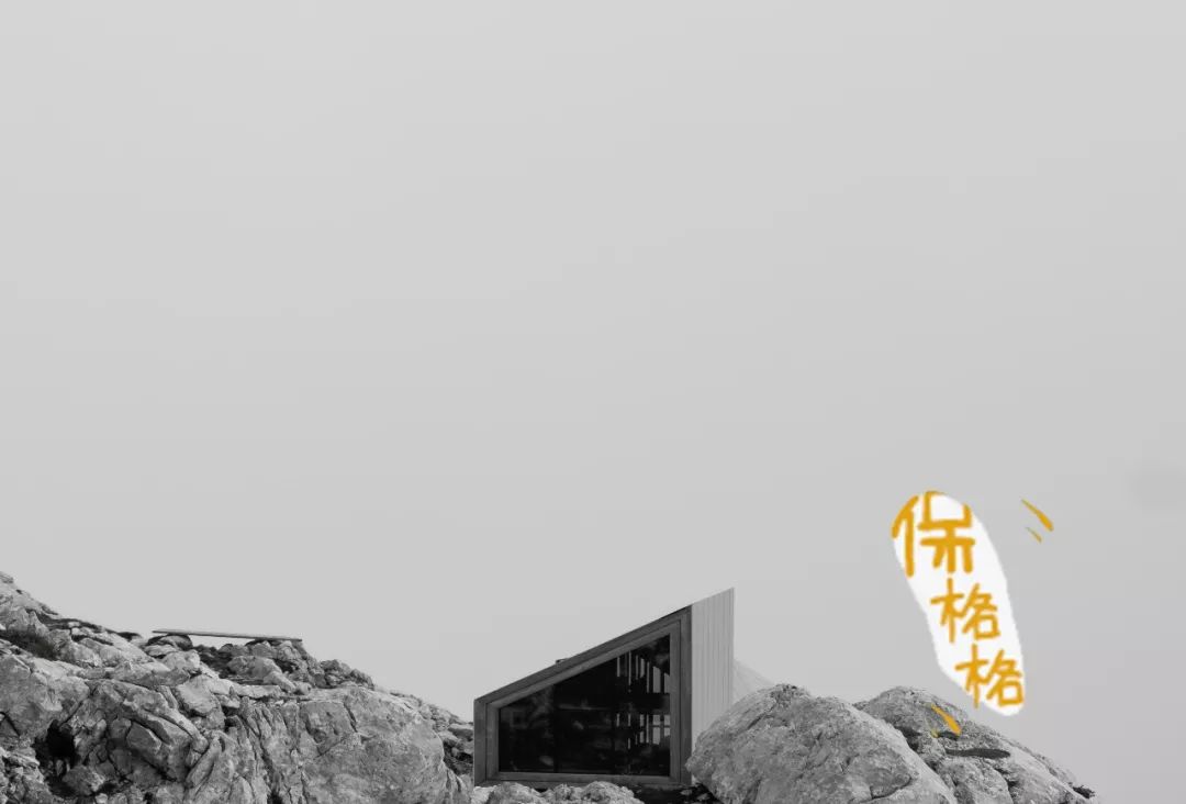 发生了家暴，保险能赔吗？-第4张图片-牧野网