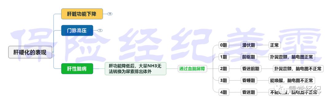 肝脏疾病如何买保险？肝脏疾病的保险使用指南-第11张图片-牧野网