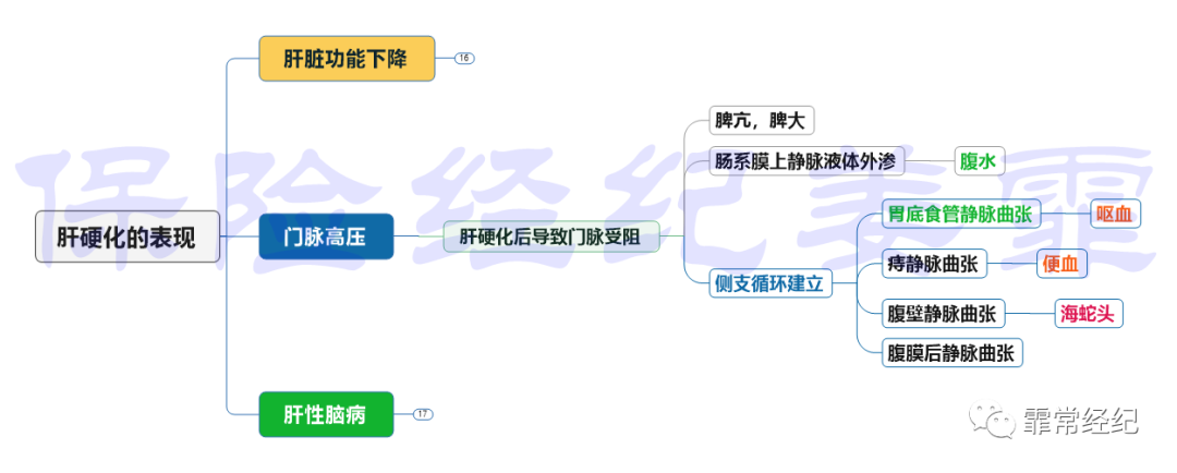 肝脏疾病如何买保险？肝脏疾病的保险使用指南-第10张图片-牧野网