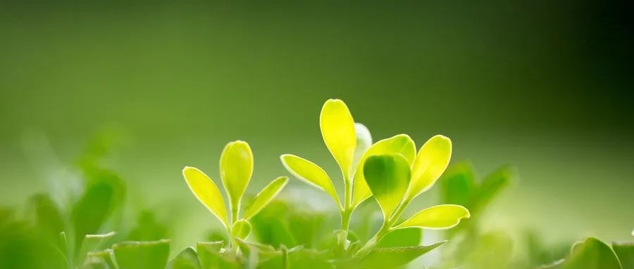 等待期出险怎么办？-第1张图片-牧野网