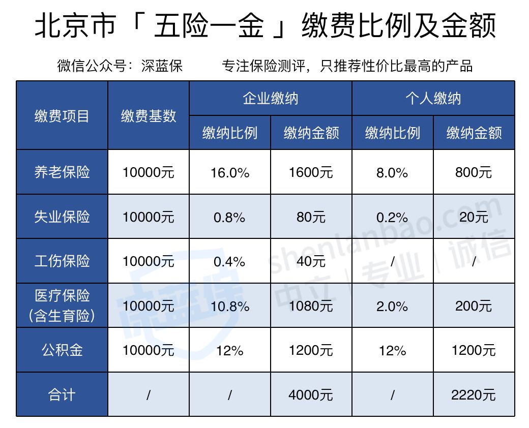 国家减免社保缴费，我们会有损失吗？-第3张图片-牧野网