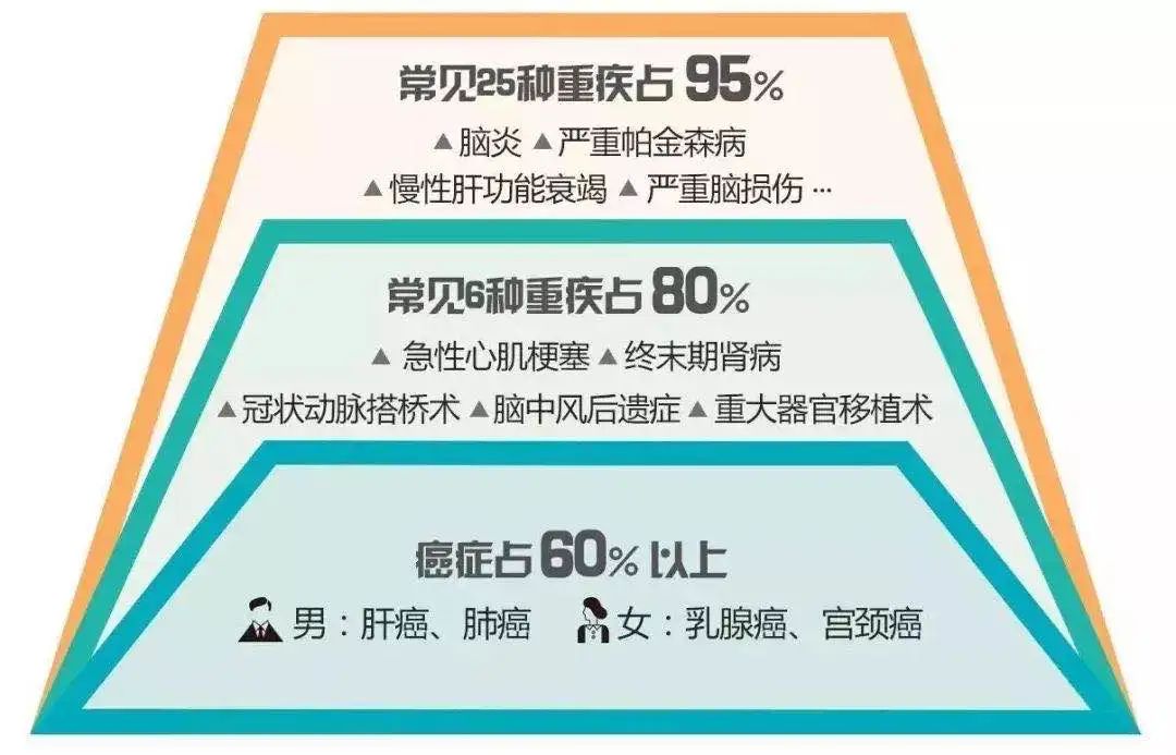 重疾性价比首选，完美人生守护终于可以线下购买了-第3张图片-牧野网