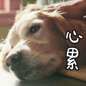 突然被辞退，没有新工作社保断缴怎么办？-第8张图片-牧野网