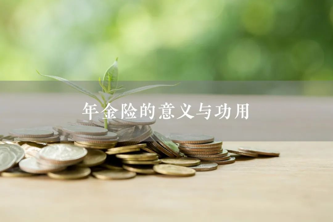 年金险有什么意义与功用？-第1张图片-牧野网