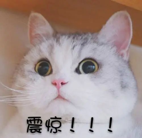 活期资金如何打理？活期资金适合购买什么产品？-第1张图片-牧野网