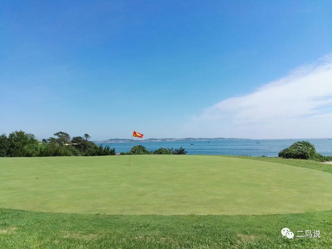 价值投资VS成长投资，哪个更有“钱途”？-第1张图片-牧野网