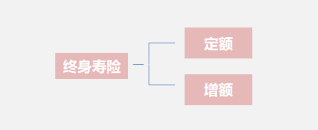 选择终身寿险还是定期寿险好？选择年金险还是终身寿险好？-第2张图片-牧野网