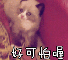 怎样说服家人买保险？-第7张图片-牧野网