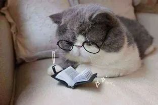 如何避免成为被收割的保险韭菜？-第8张图片-牧野网