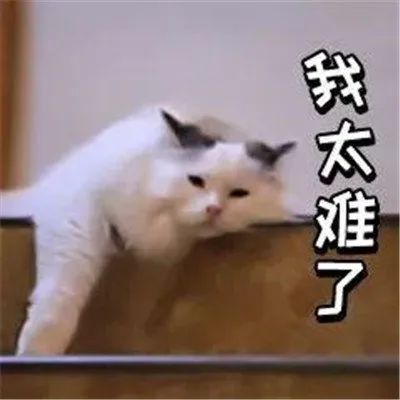 为什么月入过万还存不到钱？-第1张图片-牧野网