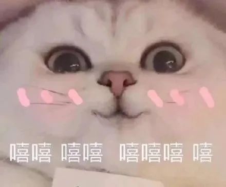 光大孝心白金卡有哪些权益？-第3张图片-牧野网