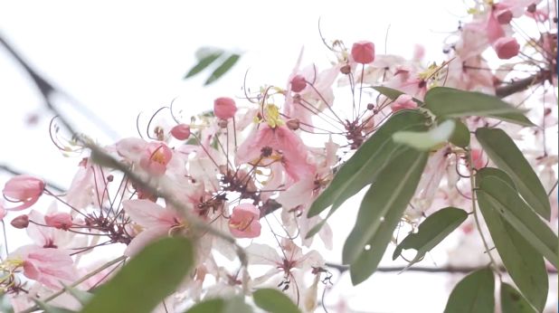 胃炎可以买哪些保险？-第1张图片-牧野网