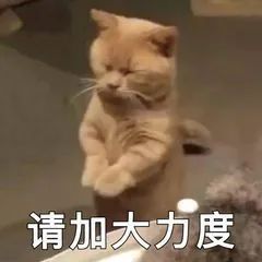 什么是基金定投？新手如何开始定投基金？-第12张图片-牧野网