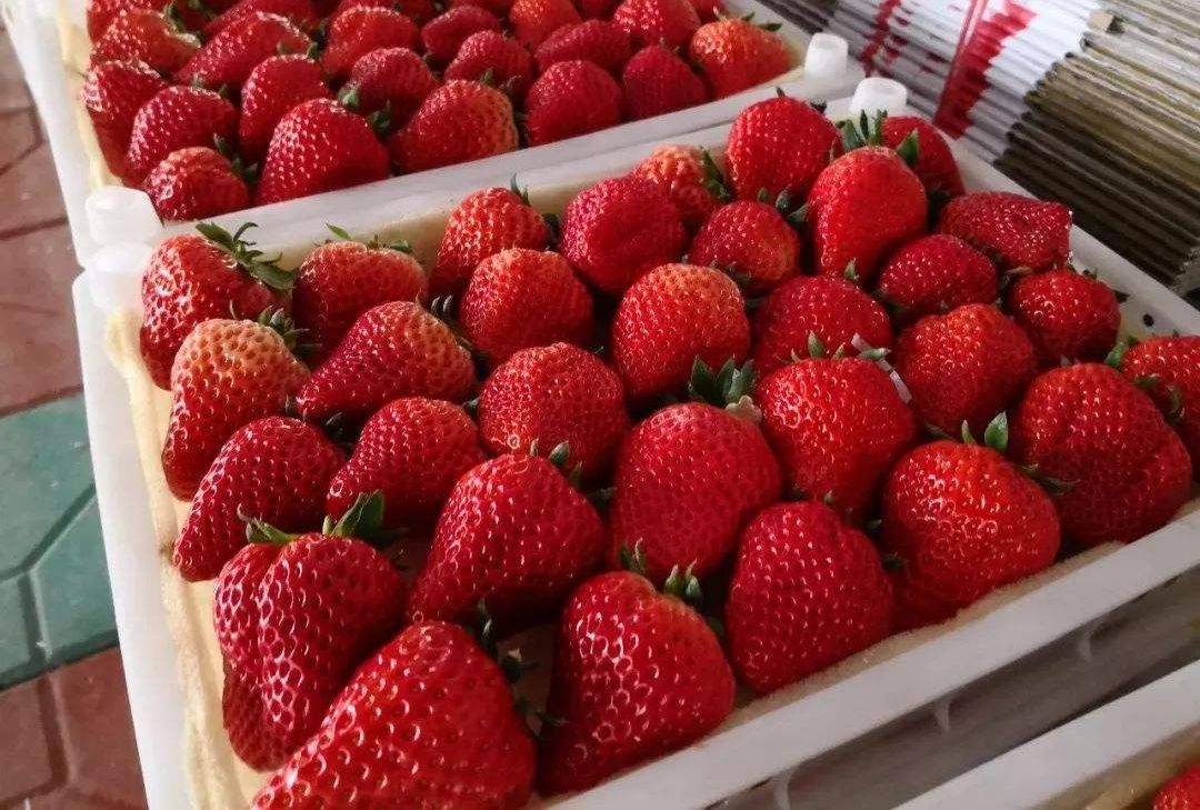 买保险，越贵越好吗？-第3张图片-牧野网