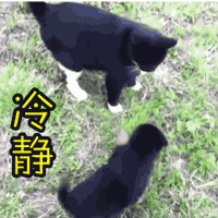 经济危机来了吗？钱放哪里才安全？-第3张图片-牧野网