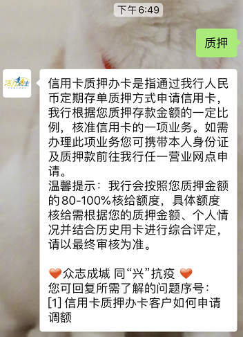 兴业银行质押办卡，直奔10万额度-第2张图片-牧野网