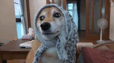 有交社保，年金险还有配置的必要吗？-第2张图片-牧野网