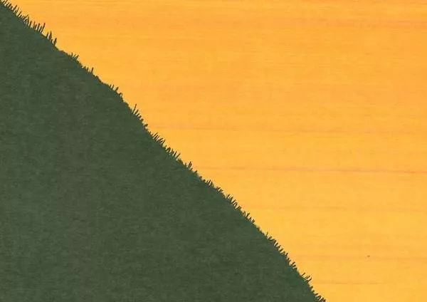 打新债中签率太低？教你怎么100%中签的方法-第1张图片-牧野网