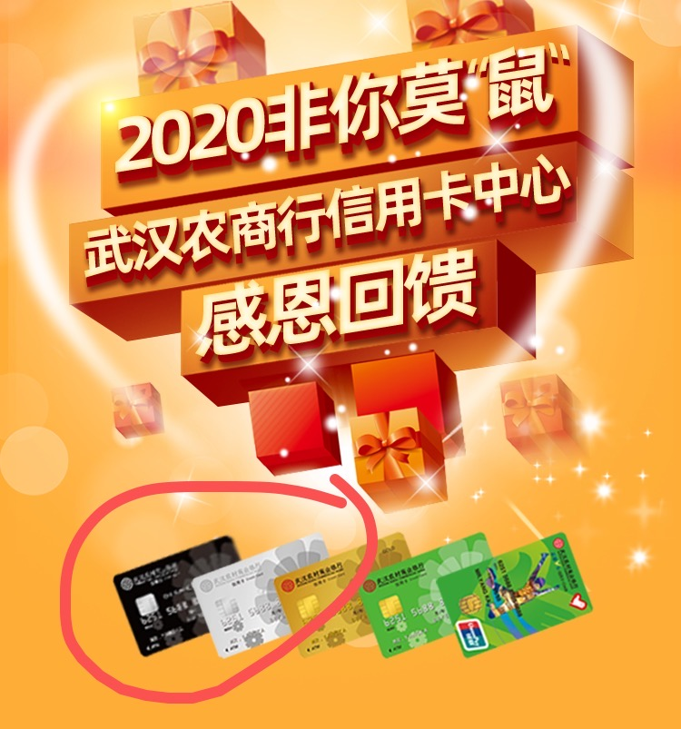 湖北省地方性银行高端信用卡有哪些？-第8张图片-牧野网