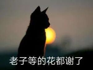 股市注册制是什么意思？8月24日创业板注册制正式落地-第4张图片-牧野网