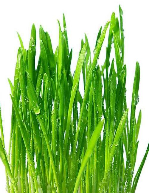 股市注册制是什么意思？8月24日创业板注册制正式落地-第2张图片-牧野网