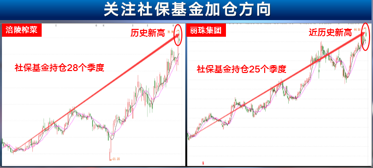 社保概念股涨幅好吗？社保概念股有什么特点？-第1张图片-牧野网