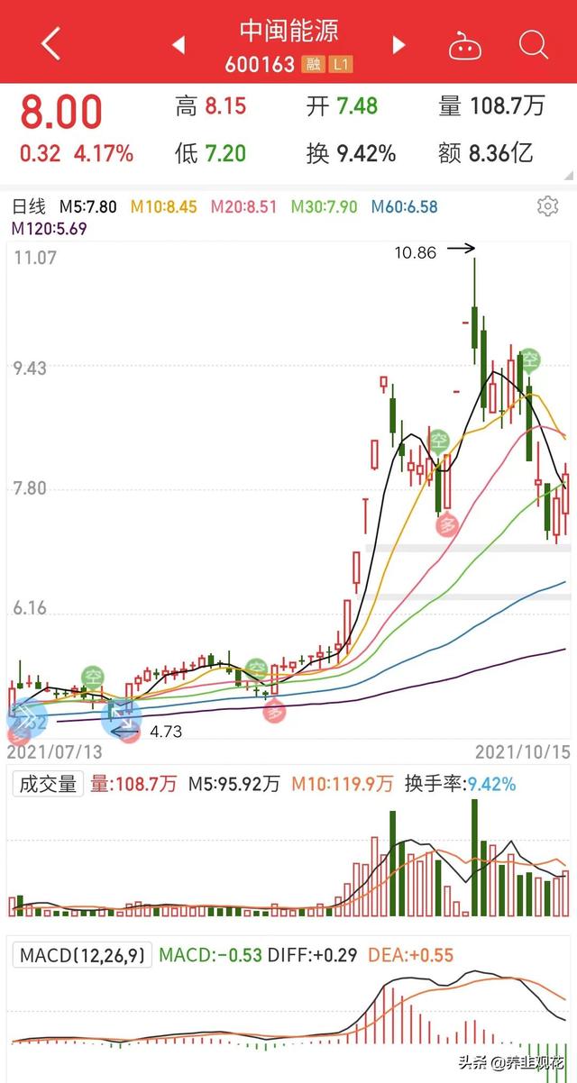 (芯能科技)新能源电力股，谁是龙头?-第5张图片-牧野网