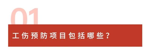 2022年深圳市工伤预防项目申报指南-第8张图片-牧野网