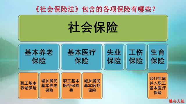 (社会保险包括哪几种保险)养老保险缴费如何划分？-第1张图片-牧野网