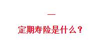 (定期寿险)73款定期寿险测评,哪款性价比最高？-第1张图片-牧野网