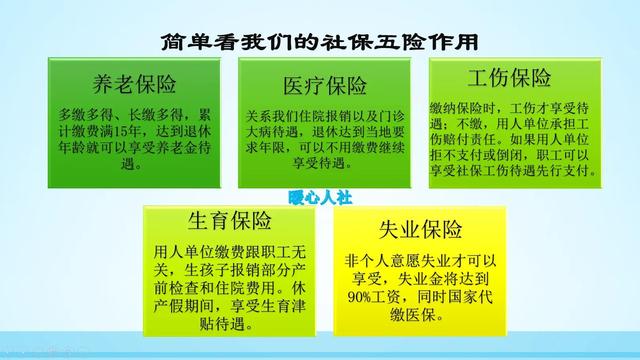 (社保是指哪些内容)社会保险的作用有哪些?-第2张图片-牧野网