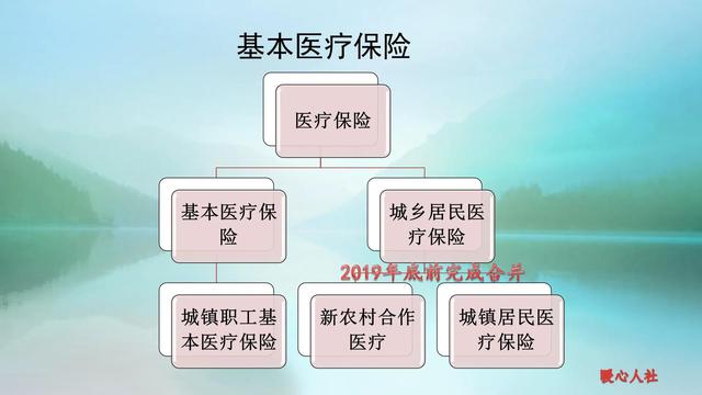 (新农合医保怎么报销)新农合报销比例是多少2021年?-第1张图片-牧野网