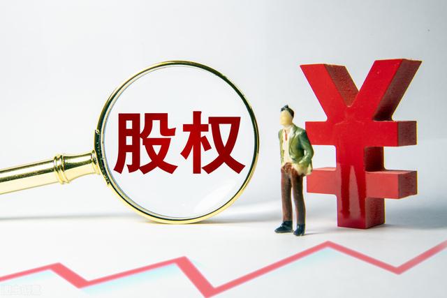 技术股/资金股/管理人才股/资源股怎么分配股权?-第1张图片-牧野网