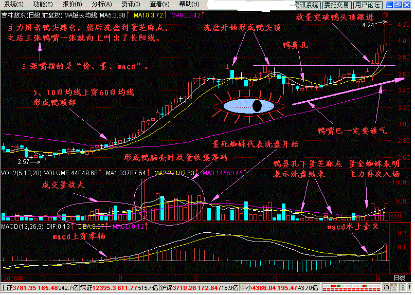 (老鸭头k线形态图解)老鸭头k线图特征及操作方法-第1张图片-牧野网